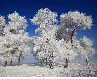 高溫黃油|高溫潤滑脂|低溫潤滑脂|齒輪潤滑脂|真空密封脂|汽車潤滑脂|湖南高溫潤滑脂廠家